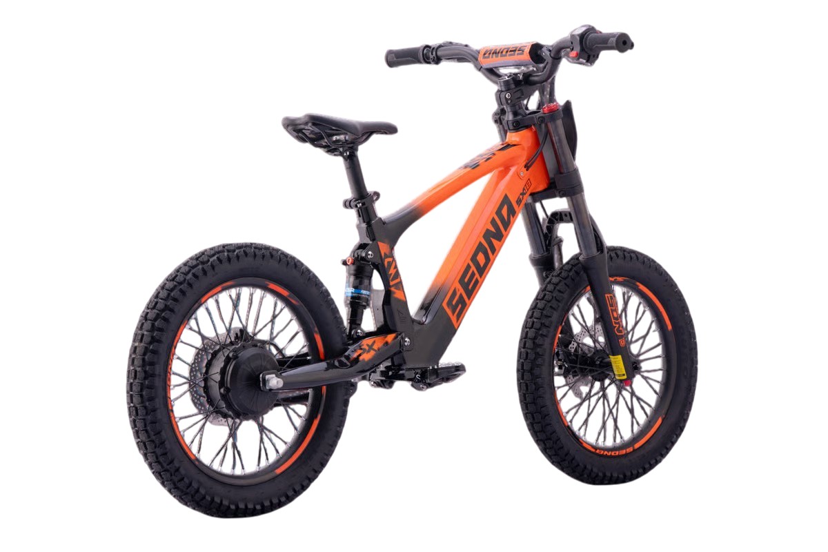 Sedna E-BIKE - SX18 - immagine 2