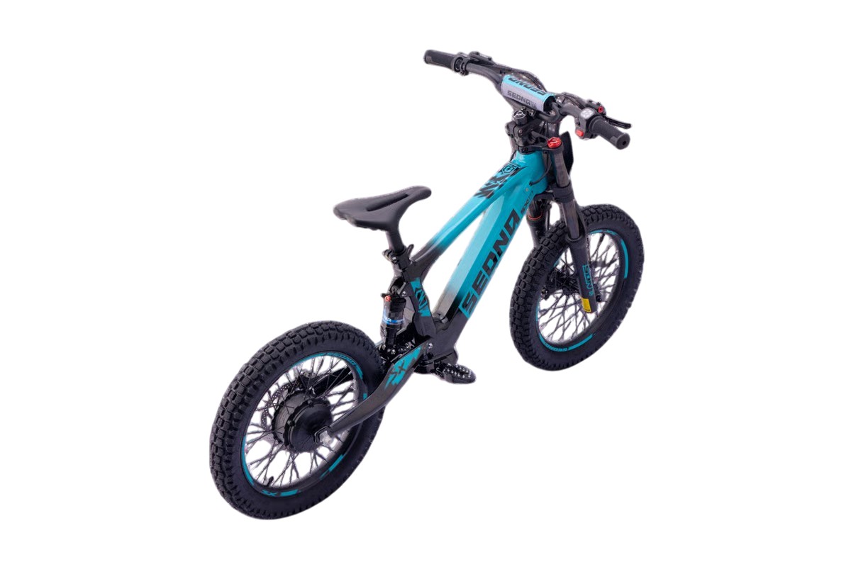 Sedna E-BIKE - SX18 - immagine 14