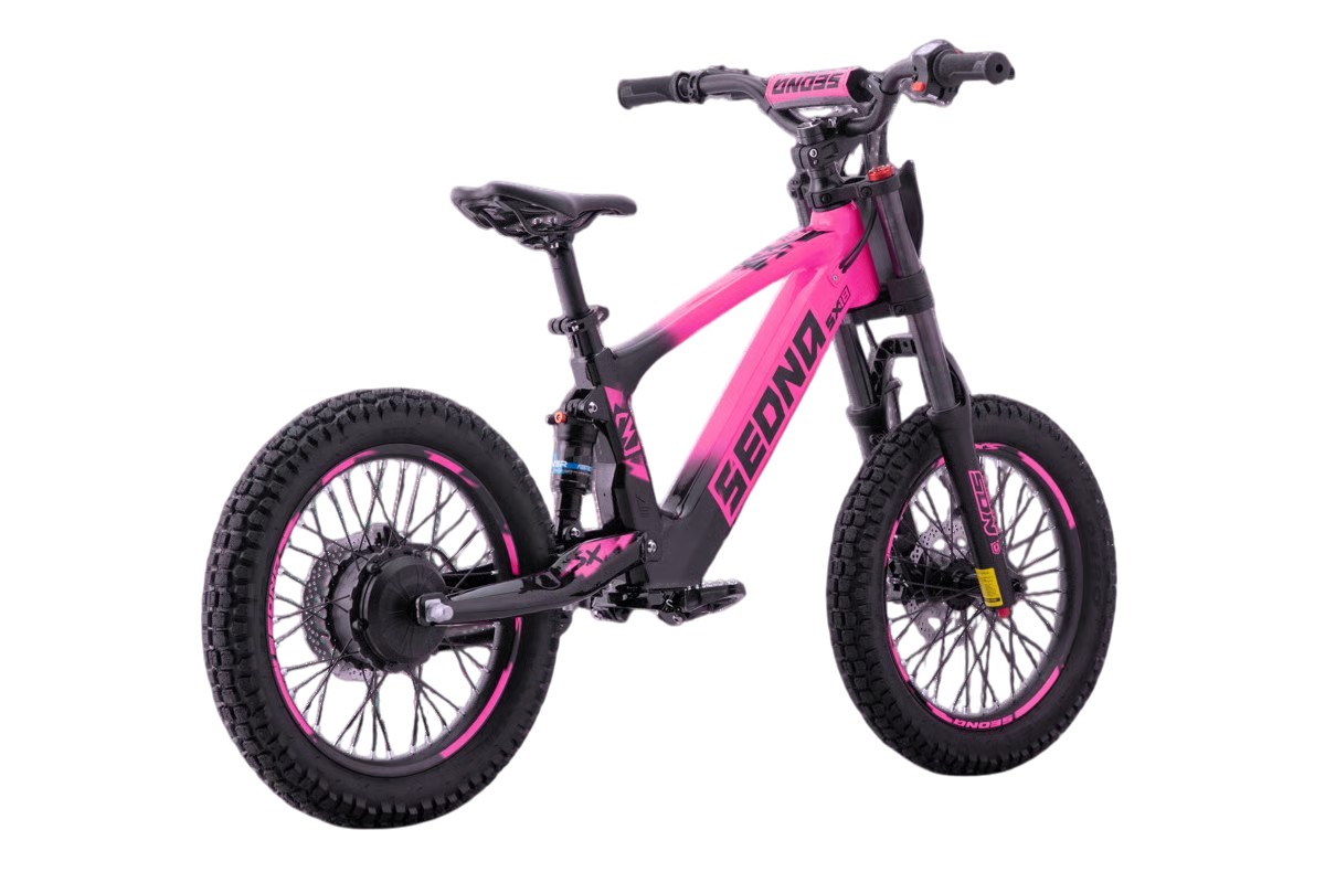 Sedna E-BIKE - SX18 - immagine 21