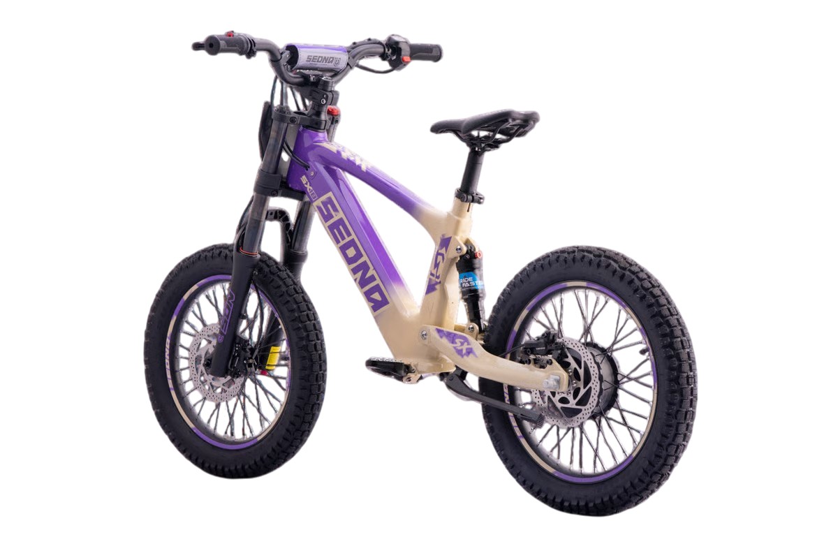 Sedna E-BIKE - SX18 - immagine 37