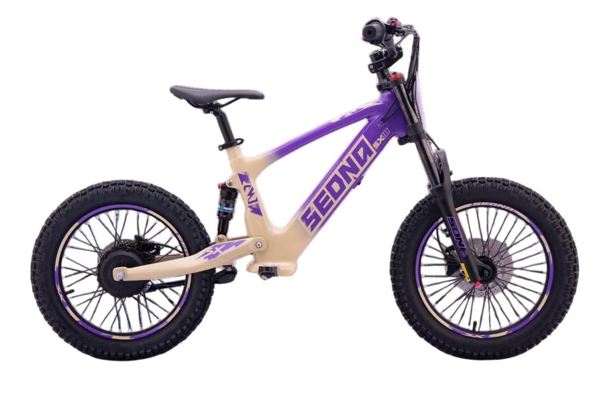 Sedna E-BIKE - SX18 - immagine 41
