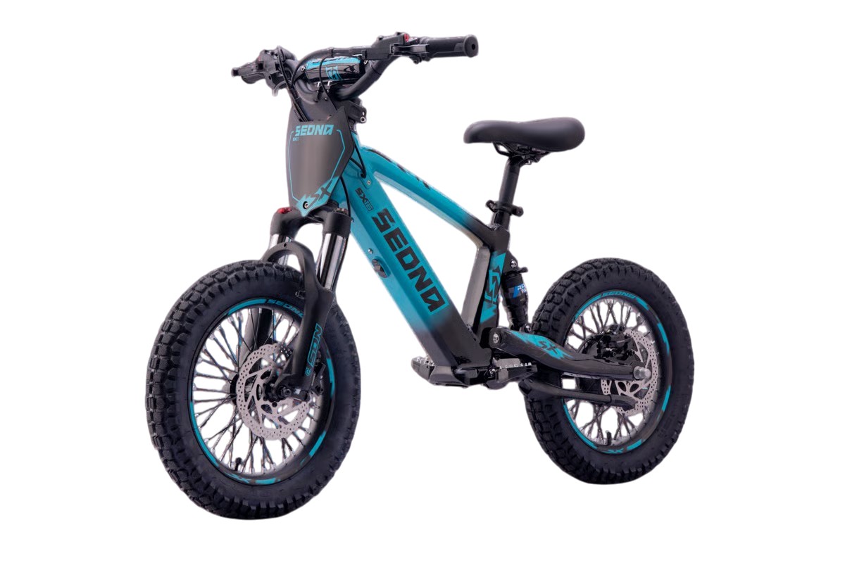 Sedna E-BIKE - SX16 - immagine 11